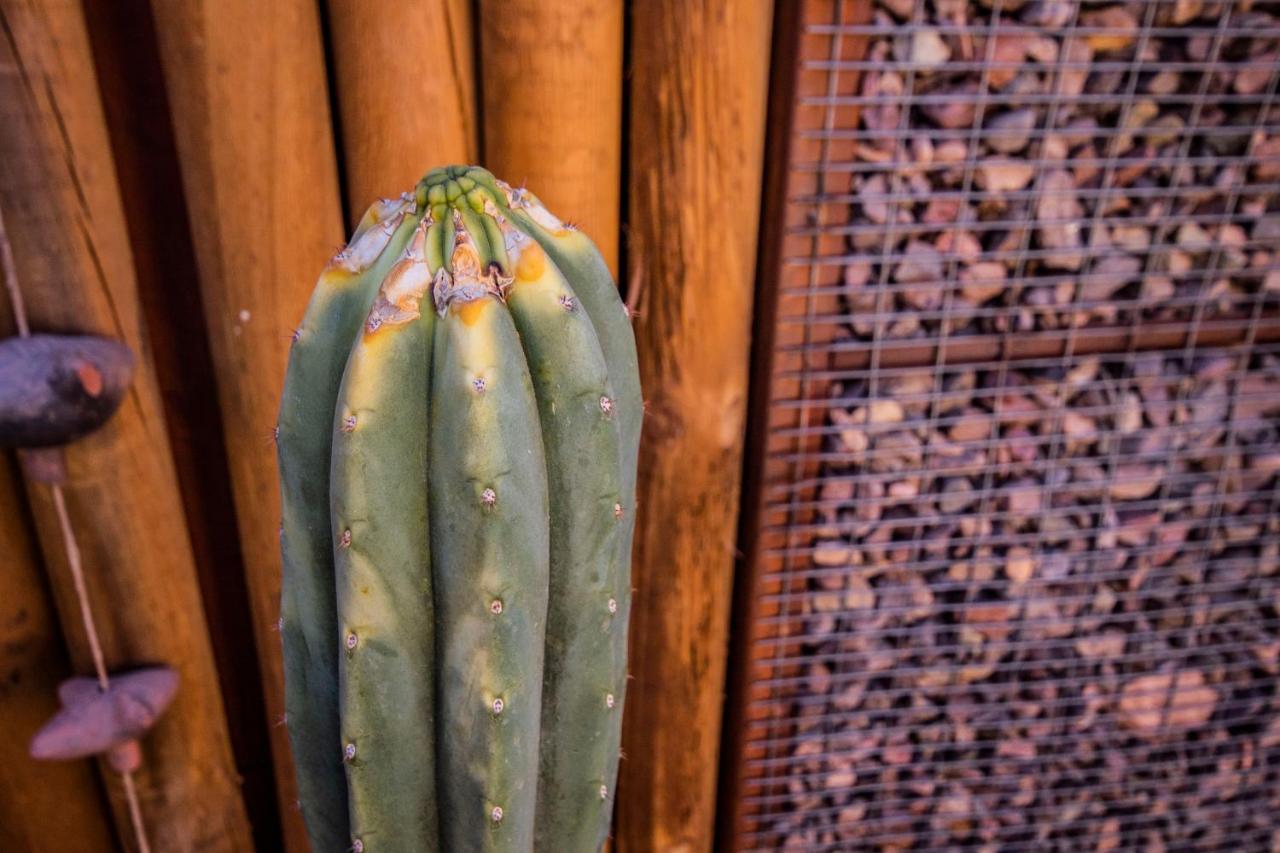 Hotel Casa Algarrobo San Pedro de Atacama Exteriör bild